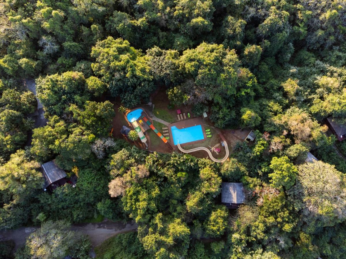 Mtunzini Forest Lodge Self Catering Resort Exterior foto