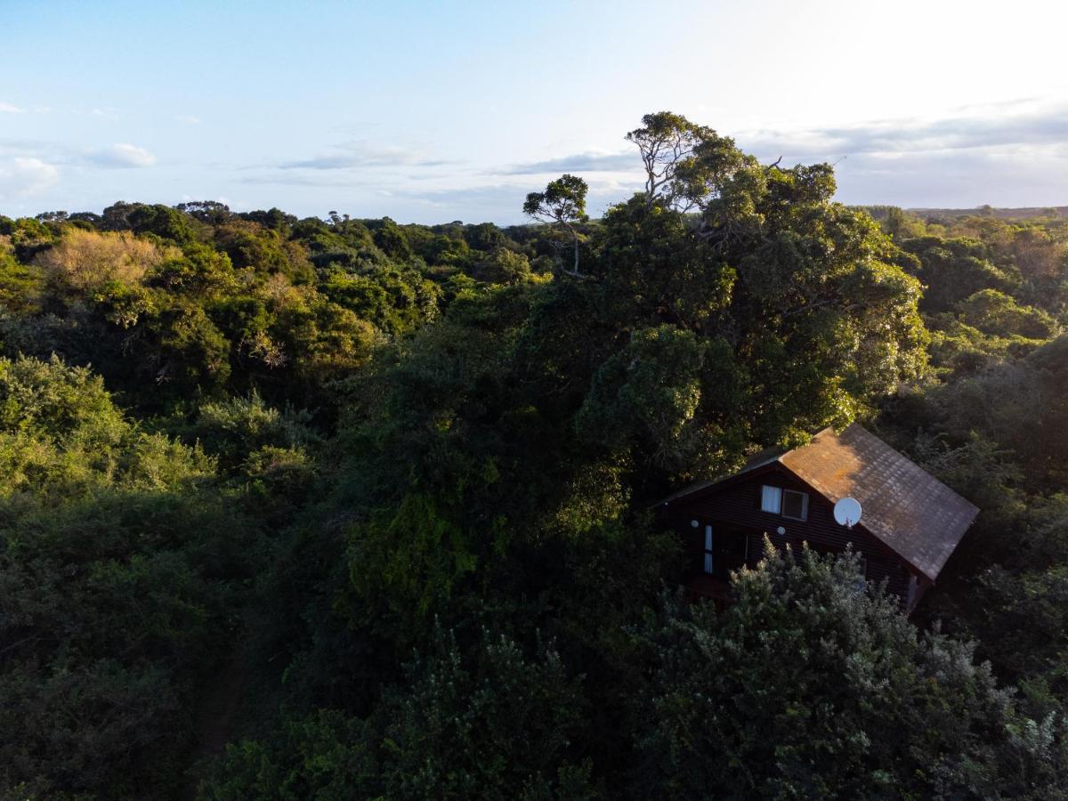 Mtunzini Forest Lodge Self Catering Resort Exterior foto